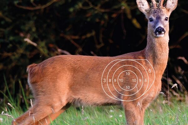 Schiettraining GROFWILD